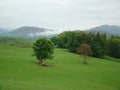 Grass land and mountain Royalty Free Stock Photo