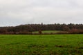 Grass land wood, Hoegne, Ardennes, Belgium