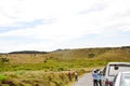 Grass lands horton plains,srilanka Royalty Free Stock Photo