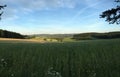 Grass landscape with a forest in the background Royalty Free Stock Photo