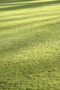 Grass lawn background with evening shadows
