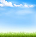 Grass lawn with clouds on blue sky Royalty Free Stock Photo
