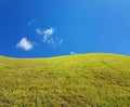 Grass lawn sky clouds for background Royalty Free Stock Photo