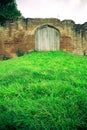 Grass leading up to medieval wall with door