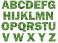 Grass lettering