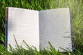 On the grass lies an open notebook with white sheets. The Layout Of The Background. Open book, back to school Royalty Free Stock Photo