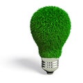 Grass light bulb Royalty Free Stock Photo