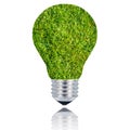 grass light bulb on white background Royalty Free Stock Photo