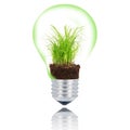 grass light bulb on white background Royalty Free Stock Photo