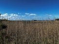 Grass Marshes, Cape Henlopen State Park, Lewes, Delaware