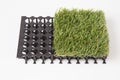 grass mat isolated on a white background Royalty Free Stock Photo