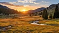 grass meadow sky alpine landscape