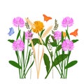 Grass meadow vector stock illustration. A field with medicinal plants.