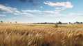 grass midwest tallgrass prairie