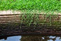 Grass and moss grow on old brick wall Royalty Free Stock Photo