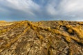 Grass, moss and lichen growing on the rock on an islet in the archipelago in Kristiansand, Norway. Blue sky with Royalty Free Stock Photo