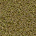Grass with Moss. Seamless Texture. Royalty Free Stock Photo