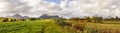 Grass and mountains landscape at Leknes, Norway Royalty Free Stock Photo