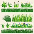 Grass nature green element vector illustration.