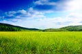 Grass and north mountain