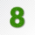 Grass number eight. Green number 8, isolated on white transparent background. Green grass eight, fresh symbol of nature