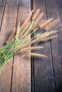 Grass on old wooden Royalty Free Stock Photo
