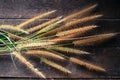 Grass on old wooden Royalty Free Stock Photo