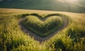 The grass on the overgrown hillside is divided by a heart-shaped path Royalty Free Stock Photo