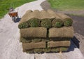 Grass on a pallet