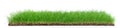 Real Grass - Panorama isolated on white Background