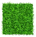 Grass patch top view. Realistic lawn tile