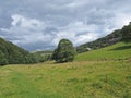 Grass path in a meadow running along the elphin valley near cragg vale in west yorkshire surrounded by woodland trees in summer