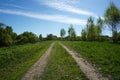 Grass path with spring sky with clouds