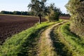 Grass path and trees