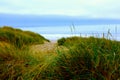 Grass Pathway to Beach Royalty Free Stock Photo