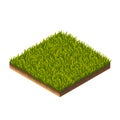 Grass Pattern Isometric