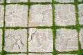 Grass on pavement Royalty Free Stock Photo