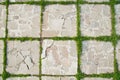 Grass on pavement slab Royalty Free Stock Photo