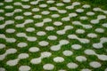 Grass pavers block tiles made of concrete in the shape of connected circles amoeba gray shape repeating in a grid serving the Royalty Free Stock Photo