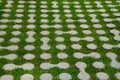 Grass pavers block tiles made of concrete in the shape of connected circles amoeba gray shape repeating in a grid serving the Royalty Free Stock Photo