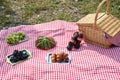 Grass picnic with croissants, grapes, watermelon and Coca Cola