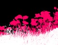 Grass with pink poppy flowers.Vector