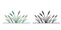 grass plant silhouette line art illustration Royalty Free Stock Photo