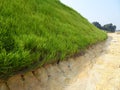 The grass is planted to prevent erosion of the soil slope.