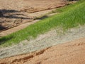 The grass is planted to prevent erosion of the soil slope. Royalty Free Stock Photo