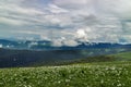 Grass on plateau Lago-Naki