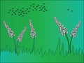 Grass-plot