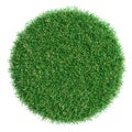 Grass pot top view Royalty Free Stock Photo