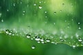 Rain is falling on fresh green grass forming a puddle of water. Royalty Free Stock Photo