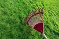 Grass and Rake Royalty Free Stock Photo